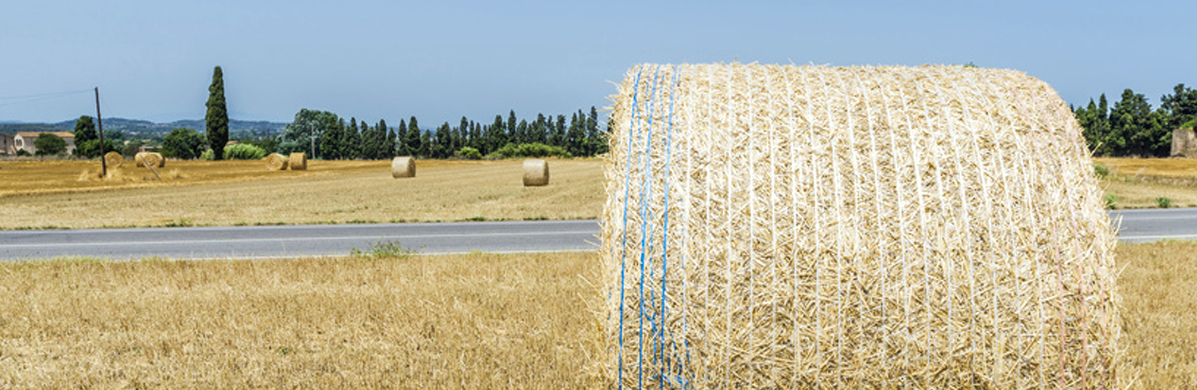 Nets for round bales
