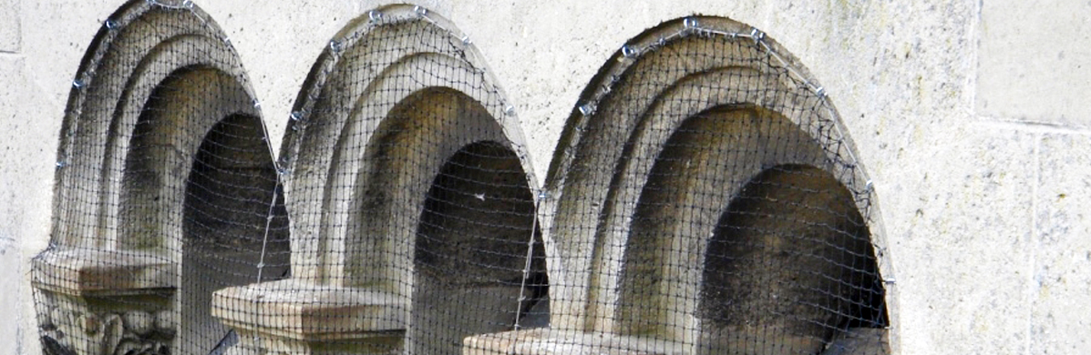 Nets and spikes against pigeons