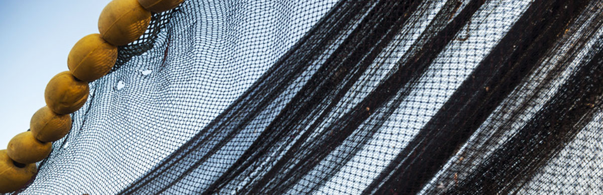 Fishing net
