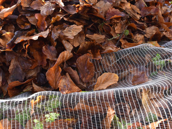Harvest net - Best value for money